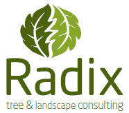 Radix Tree Consulting