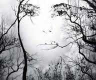 Women's Arboriculture Conference 2012 - woman's face in trees